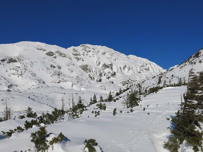 Buchbergkogel